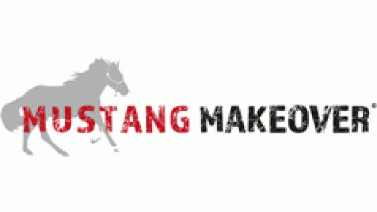 mustang-makeover_0